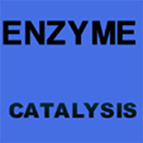 Enzyme catalysis